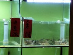 水产区-大家食府·福建菜(FAC协盛中心庭院餐厅店)