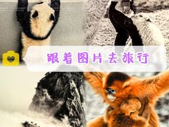 -四川美术馆
