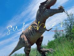 -亿利库布其七星湖沙漠生态旅游区