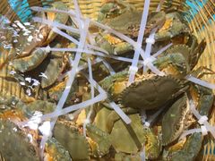 -拉完海鲜大排档(温岭店)