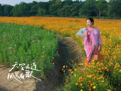 -长广溪湿地公园