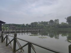 -溱湖国家湿地公园