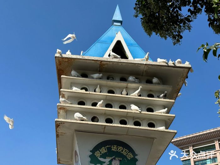 闫府私房菜·百年鲁菜(恒隆店)图片