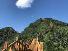 -大岭沟猕猴桃谷风景区