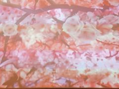 -牛焱·和牛烧肉(五大道店)