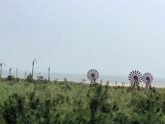 -日照海滨国家森林公园