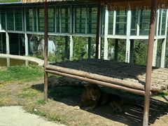 -西安秦岭野生动物园