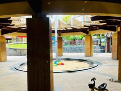 -三亚海棠湾万丽度假酒店