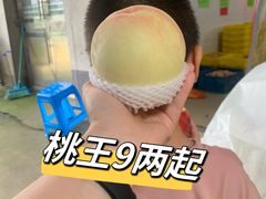 -老袁家蜜桃农场·阳山水蜜桃