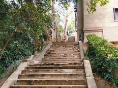 -武汉大学-樱园