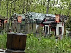 -合肥滨湖国家森林公园