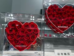 -ROSEONLY诺誓(国际广场购物中心店)