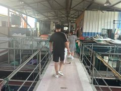 -君豪蟹都·湖景·农家乐(蟹舫苑店)