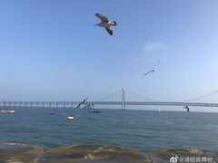 -星海广场