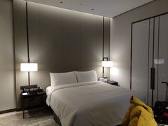 -长沙尼依格罗酒店