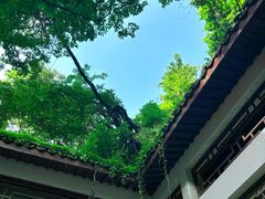 -西湖风景区-江洋畈生态公园