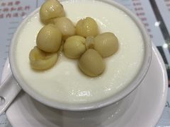 莲子双皮奶冻-义顺牛奶公司(新马路老店)