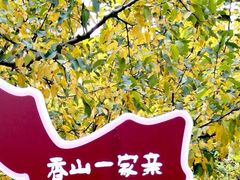 -香山公园-东宫门售票处