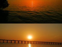 -宝安西湾红树林湿地公园