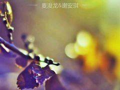 -老乡鸡(淮南中化国际城店)