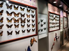 -吉林省自然博物馆