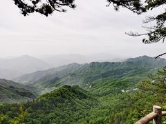 -内乡宝天曼生态旅游区