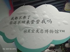 -星空失恋博物馆(双子塔旗舰店)