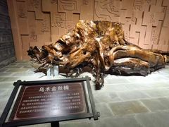 -乐山乌木文化博览苑