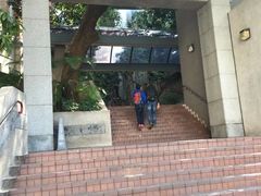 -香港大学