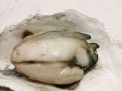 -集品鲜湾·蒸汽海鲜自助料理(青岛银座和谐广场店)