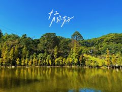 -广州市帽峰山景区