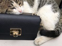 -UNI UNI(环亚凯瑟琳店)