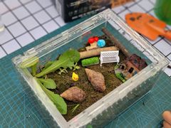 -嘉北郊野公园