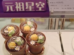 -GANSO元祖食品(锦创书城店)