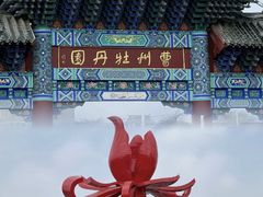-曹州牡丹园