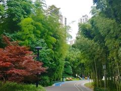 -苏州河梦清园环保主题公园