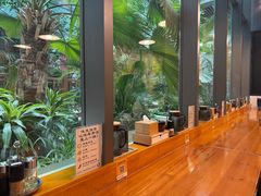 -日出拉面(望京店)