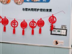 -纳吉亚猫专科动物诊疗中心(蒋宅口分院)