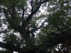 iphone_upload_pic-仓颉庙
