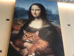 -飞行喵MR PILOT|猫舍·猫咖(静安大融城店)