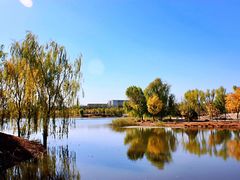 -东郊湿地公园