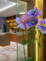 -杭州米兰柏羽医疗美容医院