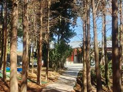 -广州市帽峰山景区