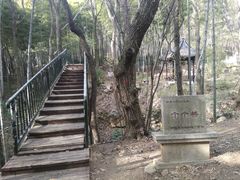 -宝岩生态观光园