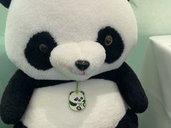 -眉州东坡·熊猫主题餐厅(枫蓝店)