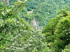 -东天目山风景区
