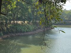 -红花湖景区