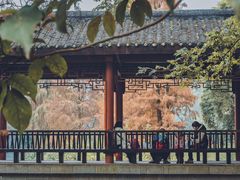 -重庆彩云湖湿地公园