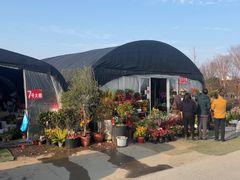 -龙大花卉苗木市场