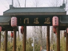 -合肥滨湖国家森林公园